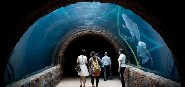 Shreenathjis Destinations